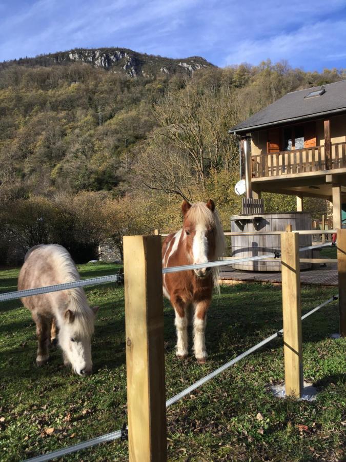 Les Marmottes Pour 12 Avec Bain Nordique Privatif Villa Camous Exteriör bild